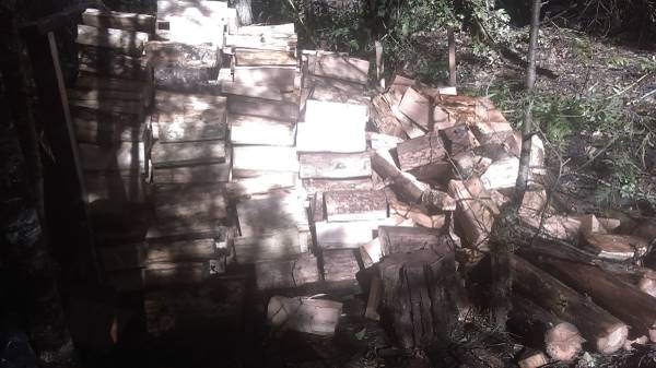 Firewood 1