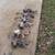 6 vintage Meat Grinders Hand Crank food chopper 2 thumbnail