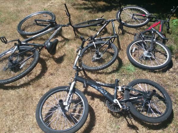 4 bicicletas usadas para adultos todo por - $100 (Olympia Lacey)63471420340995120