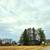 5 Acres of Land with a House 1 thumbnail
