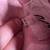 Girls Clothes Lot Sz. 10/12 Youth Large 27 Pieces Nike 5 thumbnail