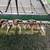 2008 John Deere 635D header 5 thumbnail