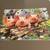 300 Large Piece (EZ-Grip) Puzzle - Three Li’l Pigs(pending) 8 thumbnail