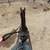 Black Gaited Gelding 8 YEAR OLD ❤️ Solid Trail Horse. 8 thumbnail