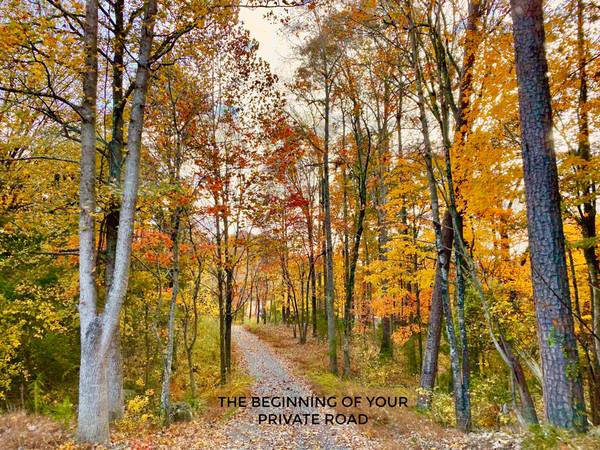 $675,000 33 acres totally private IMPROVED LAND (Trinity NC)64027278375555123