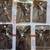 Lot of 36 NEW Surgical Steel CC Emblem Dangle Rhinestone Belly Rings 3 thumbnail