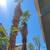 Tree Service/landscaping 12 thumbnail