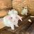 Beautiful rabbits 3 thumbnail