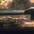Rehoming ball python 3 thumbnail