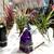 Jewelry | Air Plant Sales Associate at Bryant Park Winter Village 5 thumbnail
