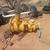 DRILL RIG AIR COMPRESSOR IR XHP 750X350 4 thumbnail