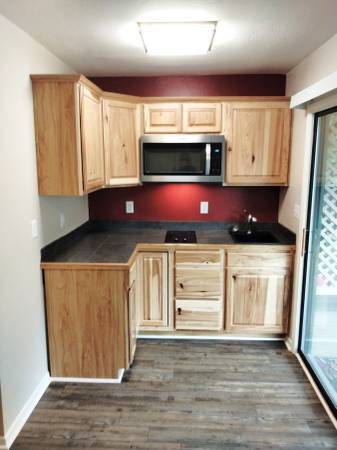 $1,100 / 474ft2 - Studio Condo in Lake Lure with Full Resort Access (Lake Lure)64029203812610124