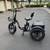 ADULT eTRICYCLE 2 thumbnail