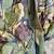 NEW VINTAGE ARMY / NATO PROTECTIVE SUIT HOOD JACKET COAT PARKA 6 thumbnail