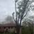 Tree removal 3 thumbnail
