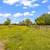 14396 Blamer Road 21 thumbnail