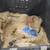 20-Pack Burlap Coffee Sacks, FREE Shipping 15 thumbnail