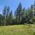Price Drop* 4.33 acres 2 thumbnail