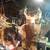 Taxidermy 2 thumbnail