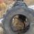 14.9 x 24 tractor tire 2 thumbnail