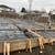 Concrete Residential & Commercial Projects 9 thumbnail