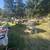 Huge Yard Sale 5 thumbnail