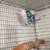 Lovebirds y Greencheek Parrots 10 thumbnail