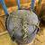 EVER LAST 70# HEAVY BAG WITH HANGING CHAINS 3 thumbnail