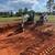 Land clearing & Grading 2 thumbnail