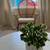 Therapy and Wellness Offices for Rent 12 thumbnail