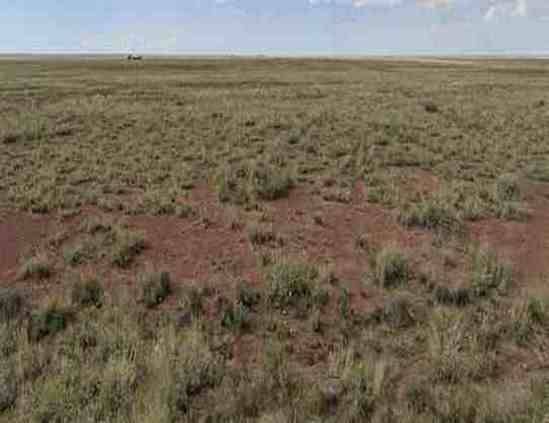 $99 por 1,25 acres cerca de Holbrook, AZ (Sun Valley, AZ)