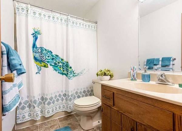 $850 / 1br - 675ft2 - 1BR Cozy Retreat – Comfort in a Vibrant Community (1310 15th Street North, St. Cloud, MN)63988652687874121