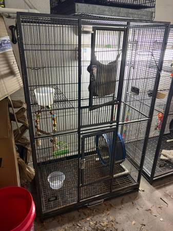 Cages 1