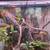 Rehoming reptiles with enclosures and empty enclosures 2 thumbnail