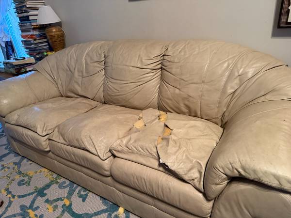 Free leather couch 1