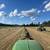 high quality mixed grass small bale hay 5 thumbnail