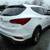 2017 Hyundai Santa Fe Sport 2 thumbnail