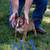 Bull Terrier Puppies 1 thumbnail