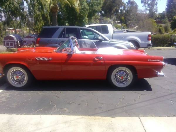 55 t bird 1
