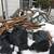 SNOW REMOVAL/JUNK & GARBAGE REMOVAL”631 707-4313” 1 thumbnail