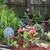 I do flower beds 3 thumbnail