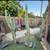 Cactus - Peruvian Apple Pear & Yuccas - Drought Tolerant 2 thumbnail