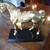 Horse Stallion Equestrian Mantle Piece Brass Tone 1 thumbnail
