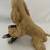 Blonde Cocker Spaniel Conversation Concepts-Dog Figurine Large DFL15C 8 thumbnail
