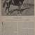 Thoroughbred Types 1900-1925 Race Horses Steeplechasers Hunters Polo 6 thumbnail