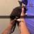 Kittens and cats 3 thumbnail