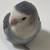 Lovebird 4 thumbnail
