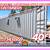 20 40 ft Cargo Container Storage Reefer Shipping Shed Sheds Containers 12 thumbnail