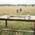 Walnut dining table 3 thumbnail