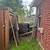 Fence & gate replacement / installation 13 thumbnail